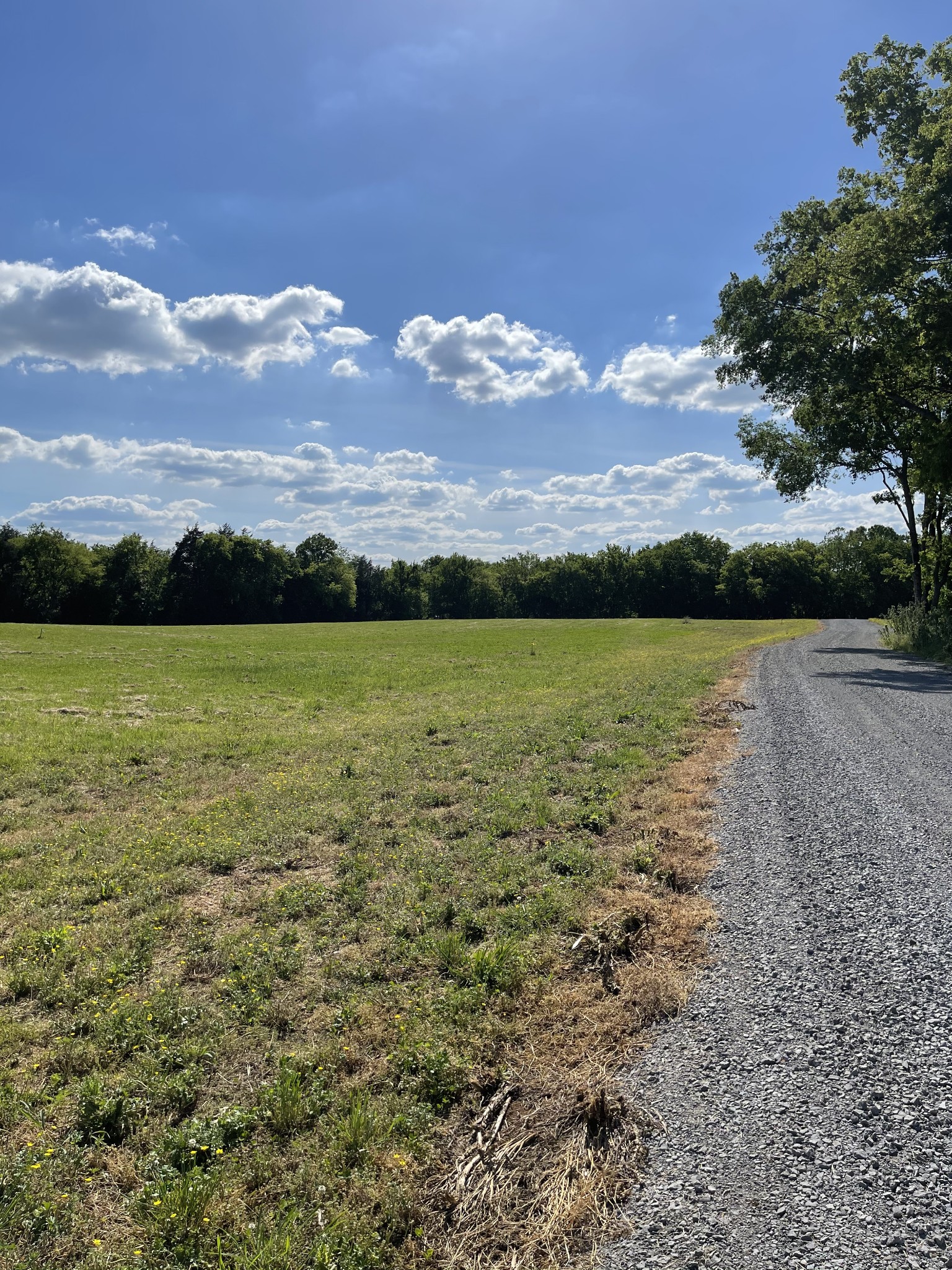 9703 Midland Road Bell Buckle, TN 37020 - Photo 2 of 11 Gallery Image 2