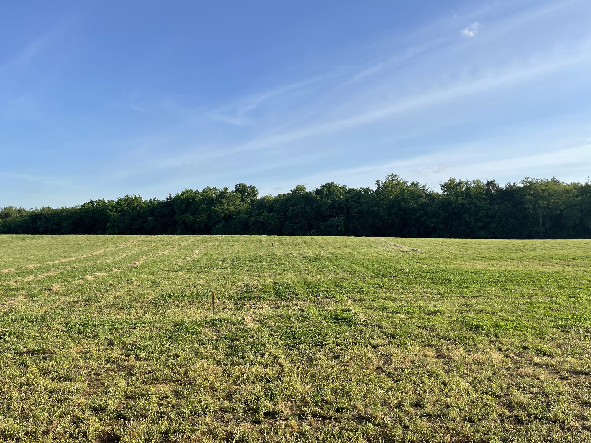 9703 Midland Road Bell Buckle, TN 37020 - Photo 5 of 11 Gallery Image 5
