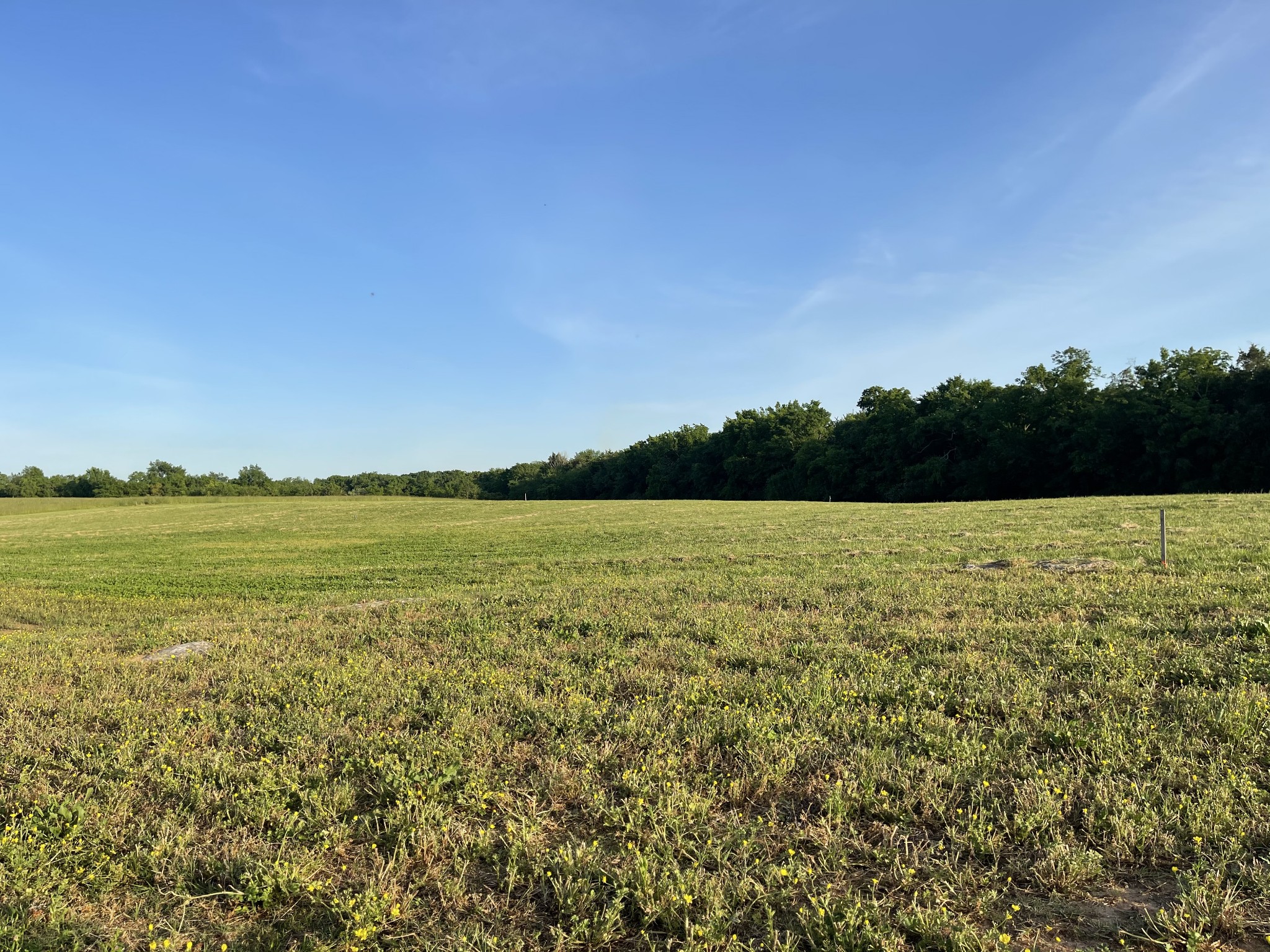 9703 Midland Road Bell Buckle, TN 37020 - Photo 6 of 11 Gallery Image 6