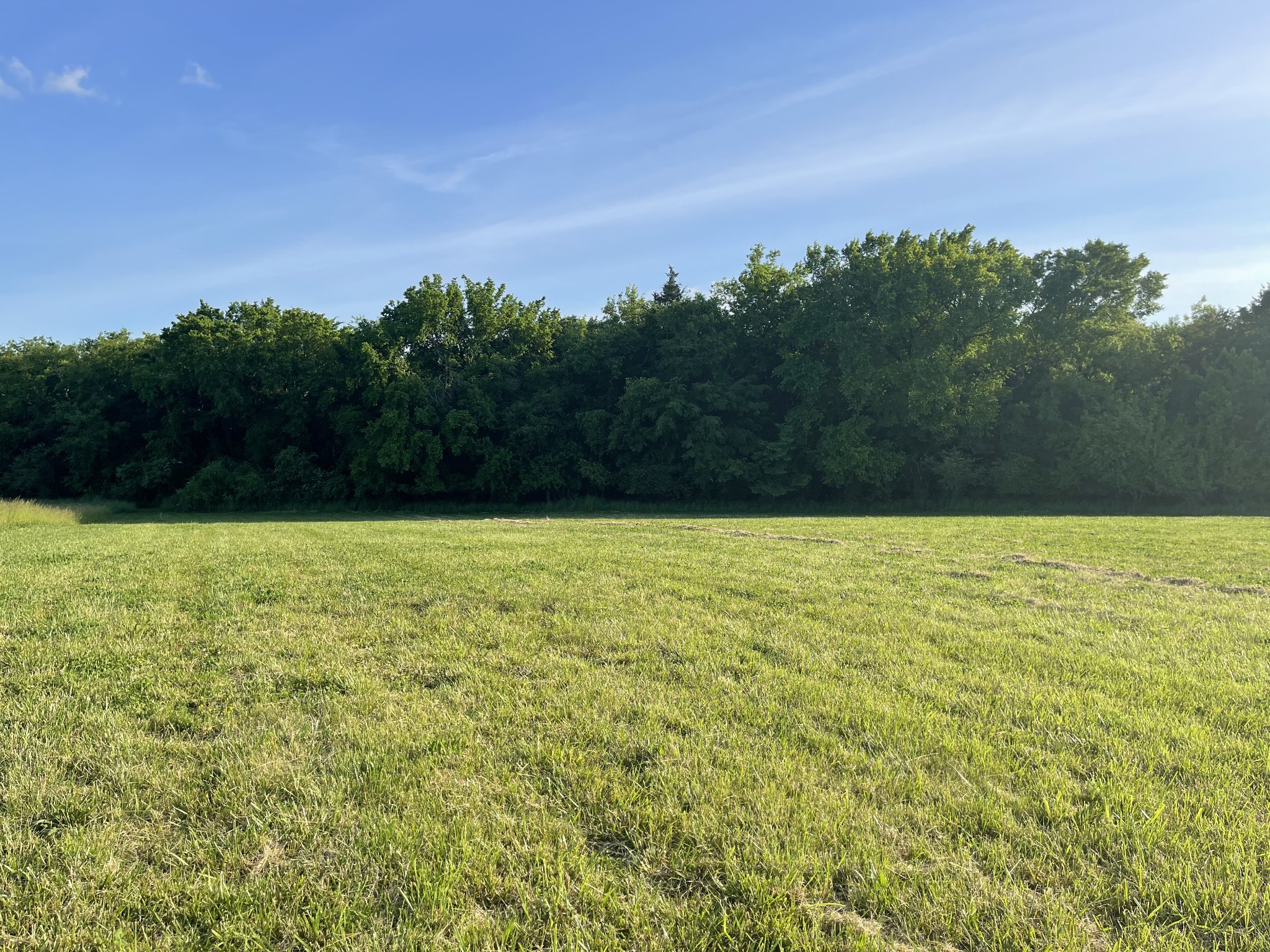 9703 Midland Road Bell Buckle, TN 37020 - Photo 7 of 11 Gallery Image 7