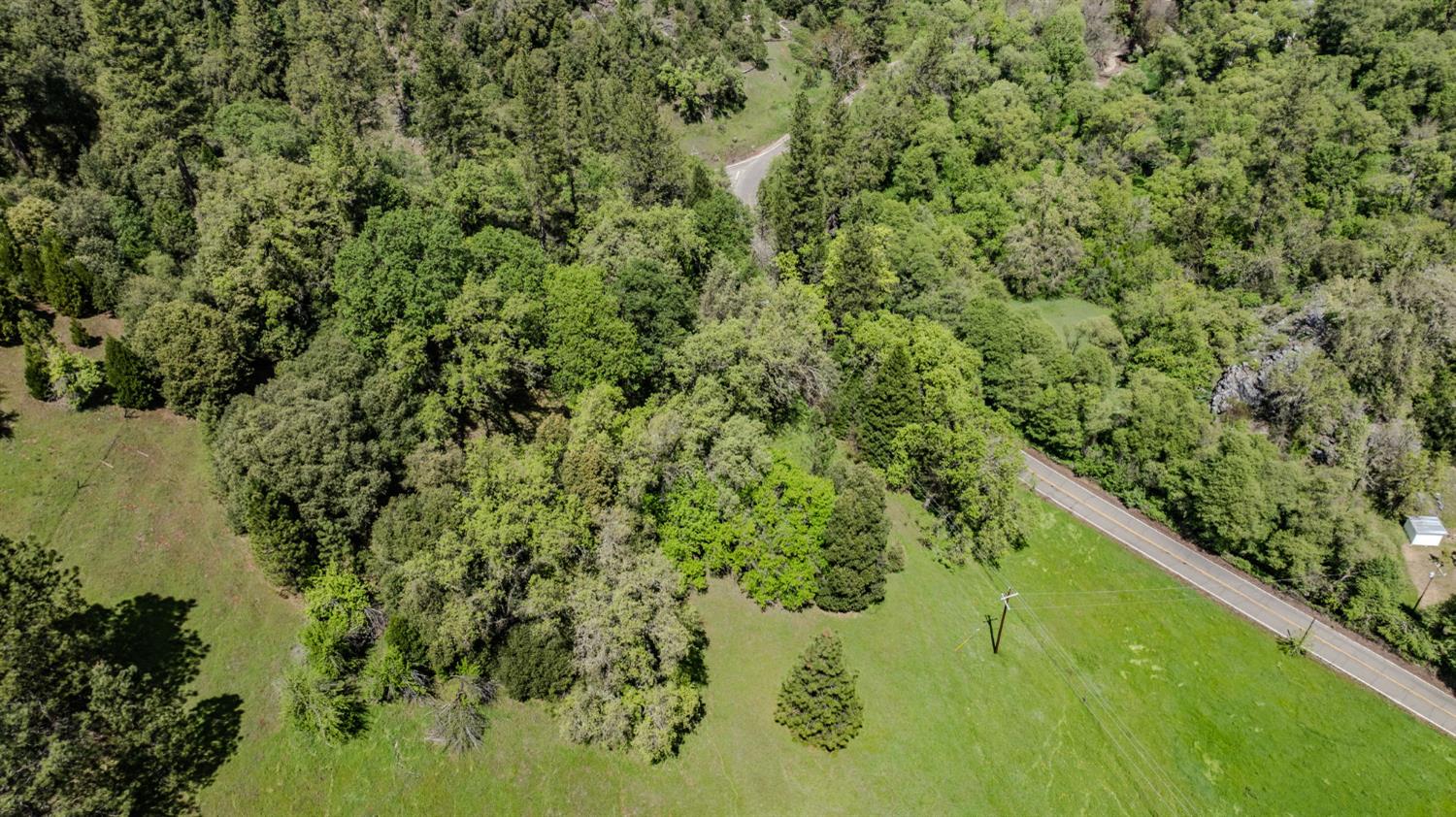 0 Sutter Creek Volcano Road Volcano, CA 95689 - Photo 8 of 25