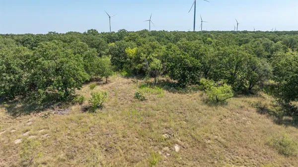 a view of a green field