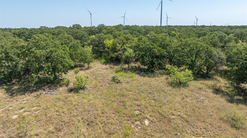 1712 Wells East Road Newcastle, TX 76372 - Photo 18 of 40 a view of a field of grass and trees