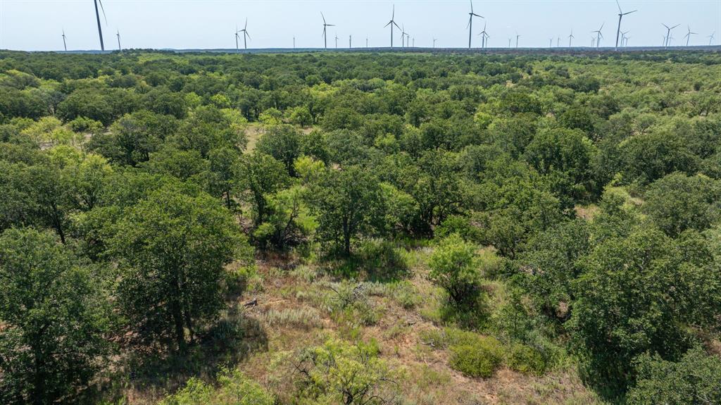 1712 Wells East Road Newcastle, TX 76372 - Photo 19 of 40 a view of a green field
