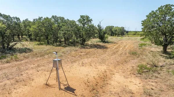 a view of a yard in front of a tree