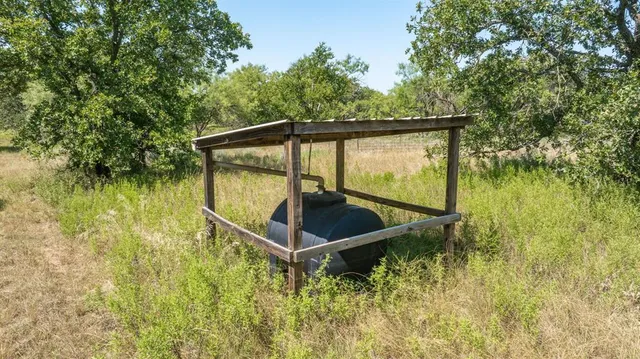 a view of a backyard with plants and outdoor