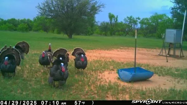 a view of outdoor space with seating area
