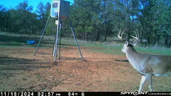 1712 Wells East Road Newcastle, TX 76372 - Photo 39 of 40 a view of a backyard