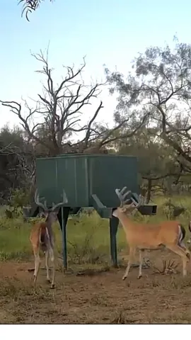 $1,264,000 | 1712 Wells East Road, Newcastle, TX 76372