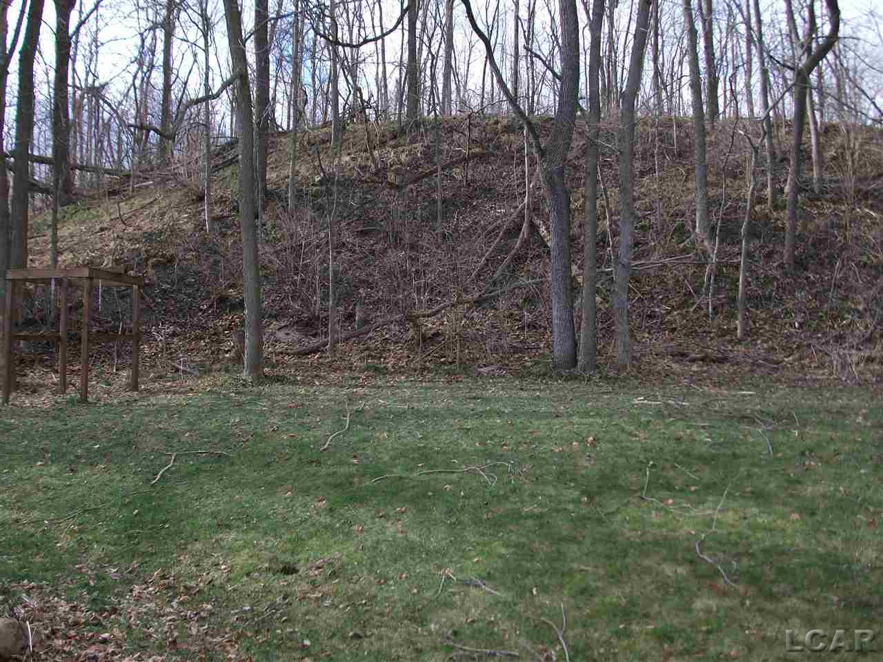 4778 Hooks Mill Road Adrian, MI 49221 - Photo 21 of 23 31274815-20.JPG