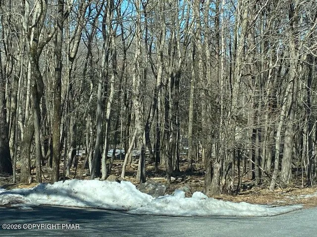 a view of a wooden floor