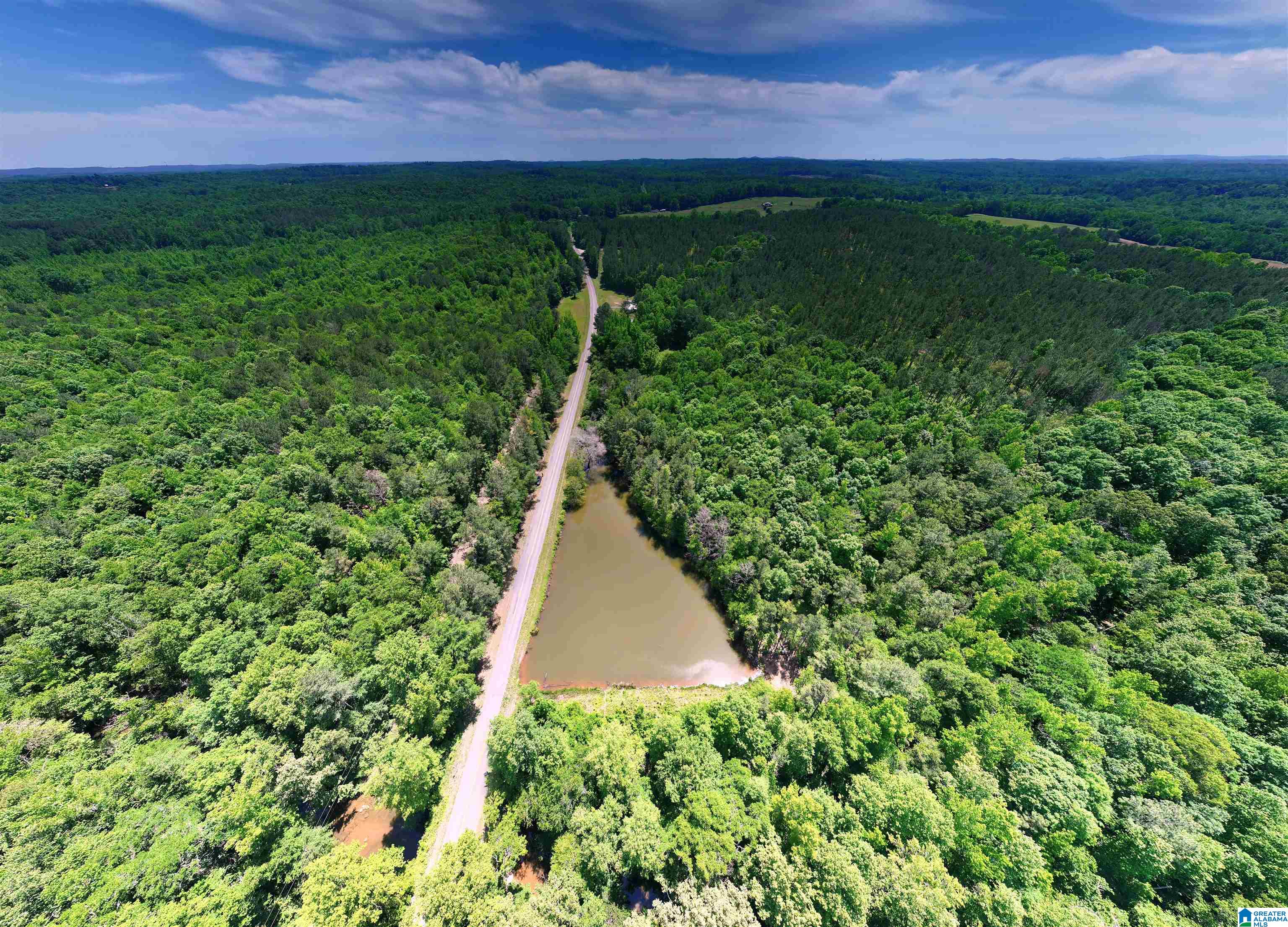 1 Old Mill Road Goodwater, AL 35072 - Photo 13 of 22