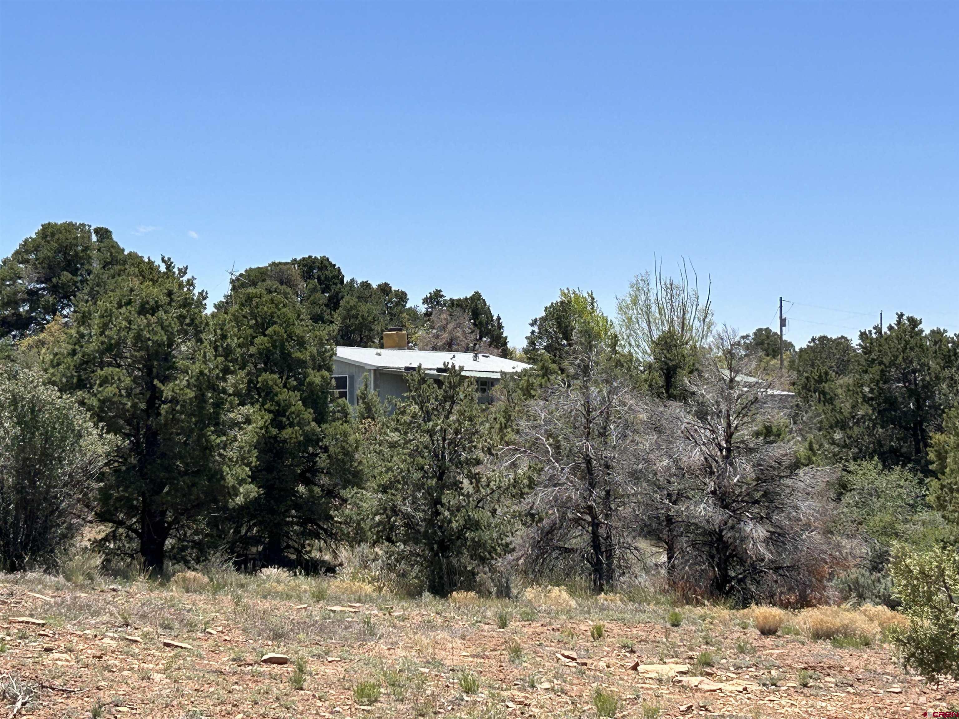 2011 County Road F4 Egnar, CO 81325 - Photo 11 of 34 a view of a yard