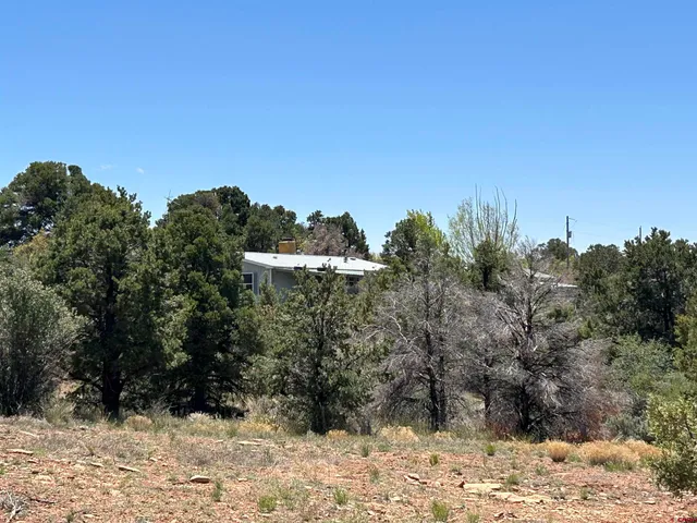 a view of a house with a garage