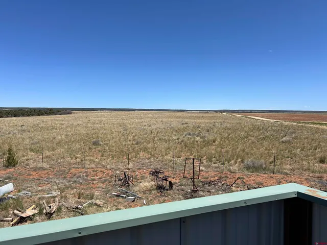 a view of a small yard