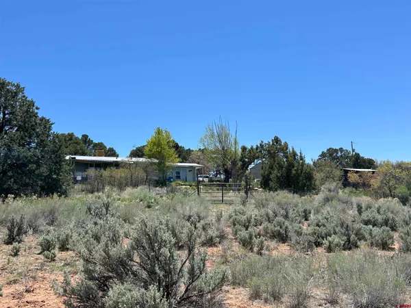 $550,000 | 2011 County Road F4, Egnar, CO 81325