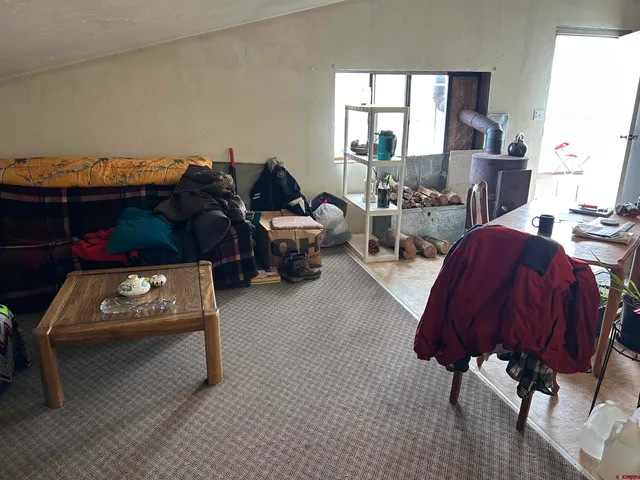 a view of a dry yard with trees