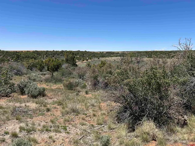 a view of a city with large trees