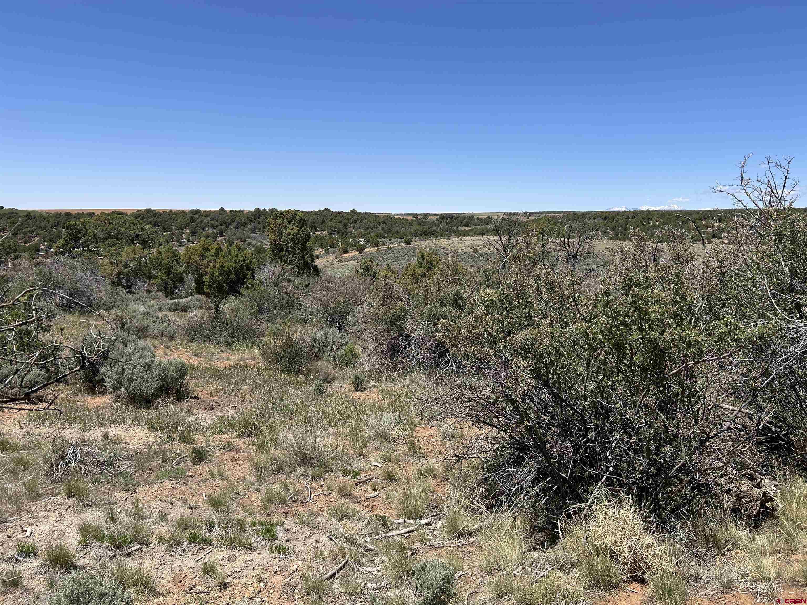 2011 County Road F4 Egnar, CO 81325 - Photo 31 of 34 a view of a large building with a forest in the background