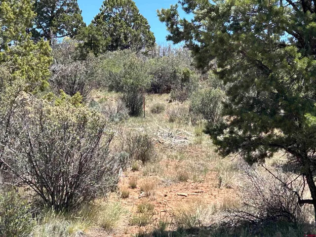 $599,900 | 2011 County Road F4, Egnar, CO 81325