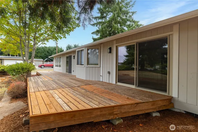 a backyard of a house with plants and trees