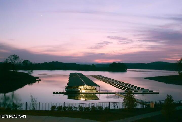 650-lot Russell Brothers Road Sharps Chapel, TN 37866 - Photo 13 of 16 Community Marina