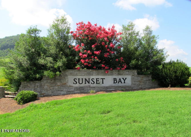 650-lot Russell Brothers Road Sharps Chapel, TN 37866 - Photo 3 of 16 Premier community