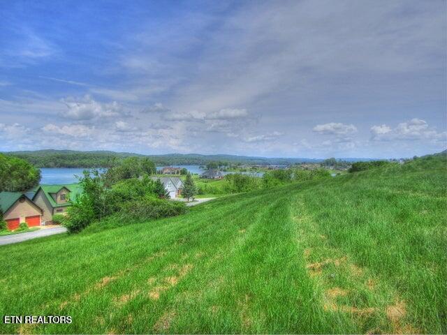 650-lot Russell Brothers Road Sharps Chapel, TN 37866 - Photo 4 of 16 Looking east