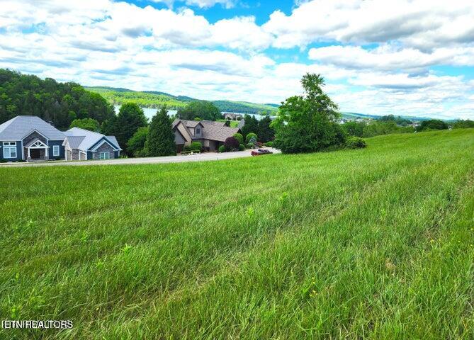 650-lot Russell Brothers Road Sharps Chapel, TN 37866 - Photo 6 of 16 East lower on lot