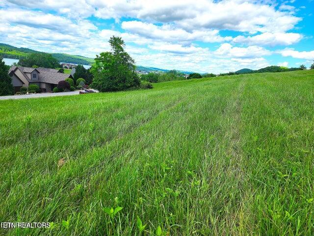650-lot Russell Brothers Road Sharps Chapel, TN 37866 - Photo 8 of 16 Easy build