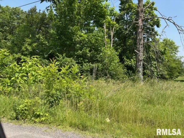 $6,000 | Tbd Penco Avenue, Centralia, IL 62801