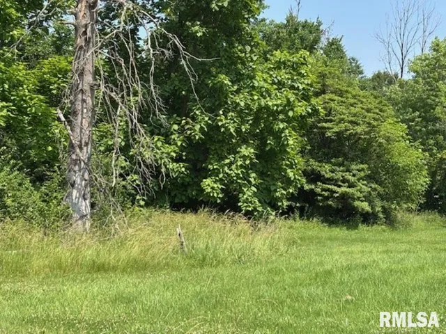 $6,000 | Tbd Penco Avenue, Centralia, IL 62801