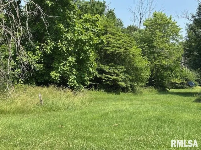 $6,000 | Tbd Penco Avenue, Centralia, IL 62801