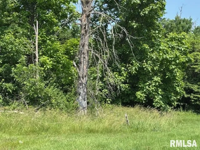 $6,000 | Tbd Penco Avenue, Centralia, IL 62801