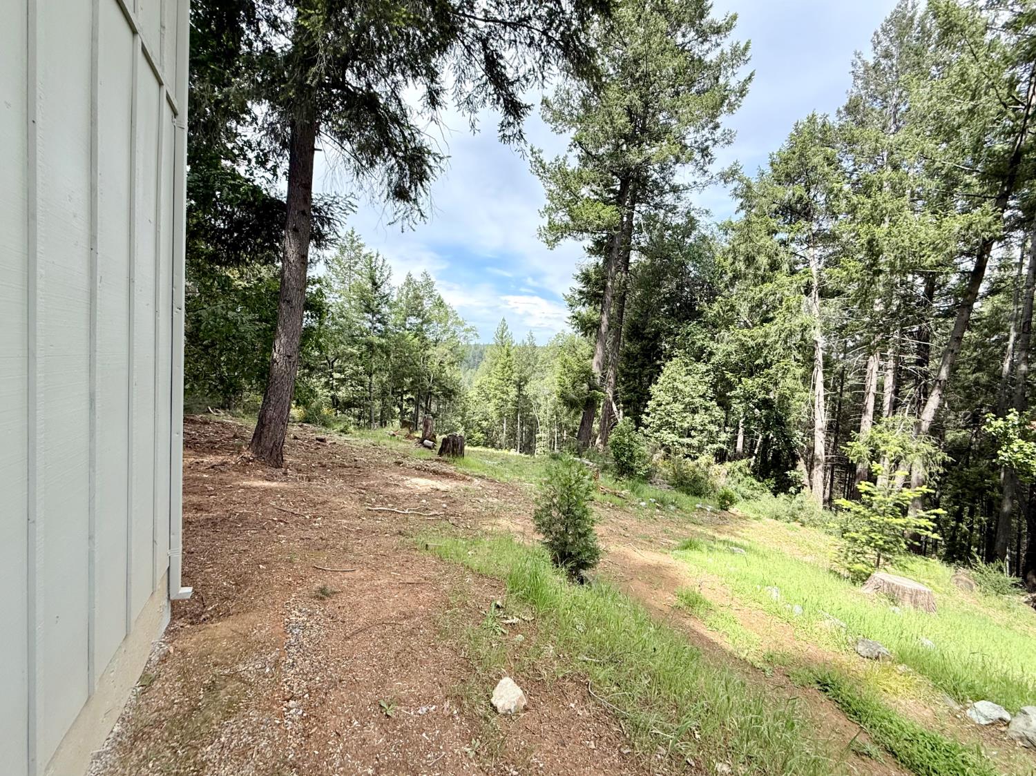 2506 Buffalo Hill Road Georgetown, CA 95634 - Photo 59 of 79 a view of a yard with plants and trees