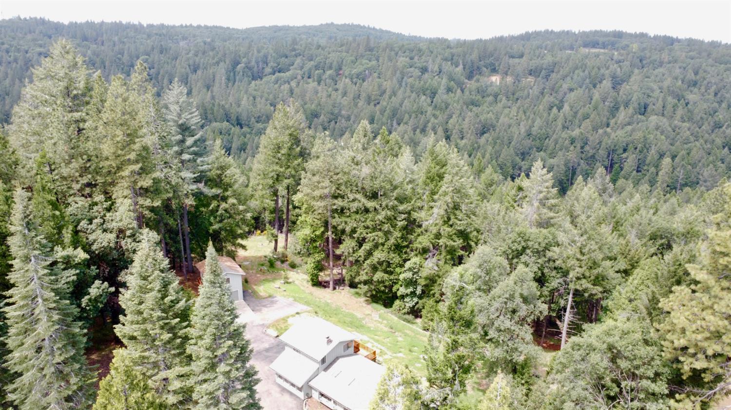 2506 Buffalo Hill Road Georgetown, CA 95634 - Photo 79 of 79 a view of a forest with a tree