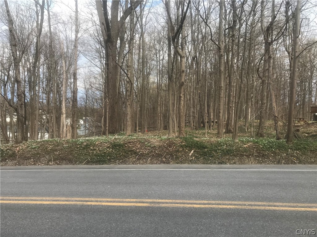 0 Kasson Road Camillus, NY 13031 - Photo 1 of 1 Gallery Image 1