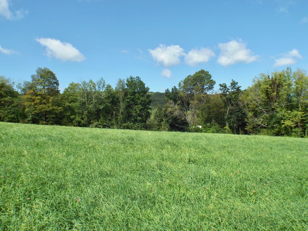 2041 Roaring Brook Road Conway, MA 01341 - Photo 4 of 9 Gallery Image 4