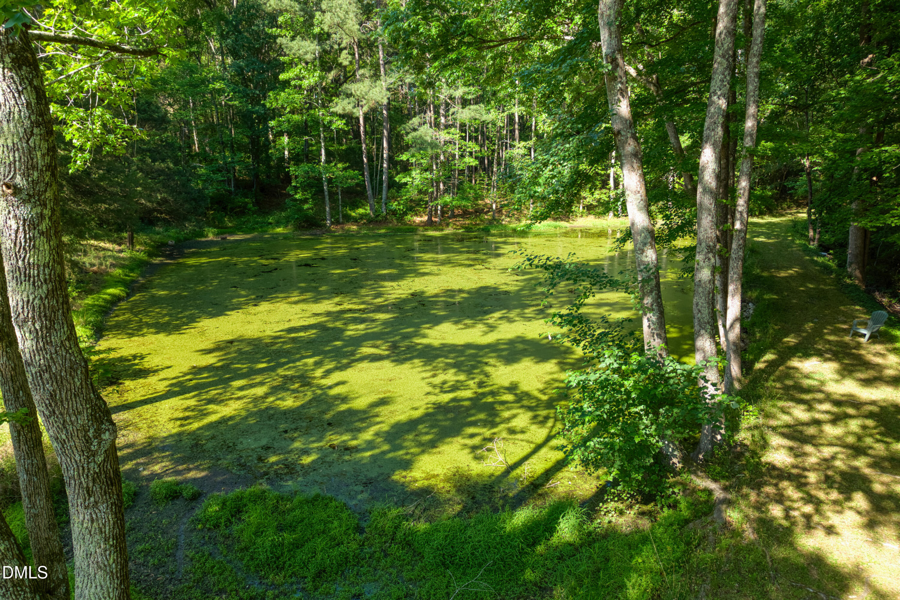 50 Robert Sledge Road Spring Hope, NC 27882 - Photo 47 of 50 a backyard of a house with lots of green space and fountain