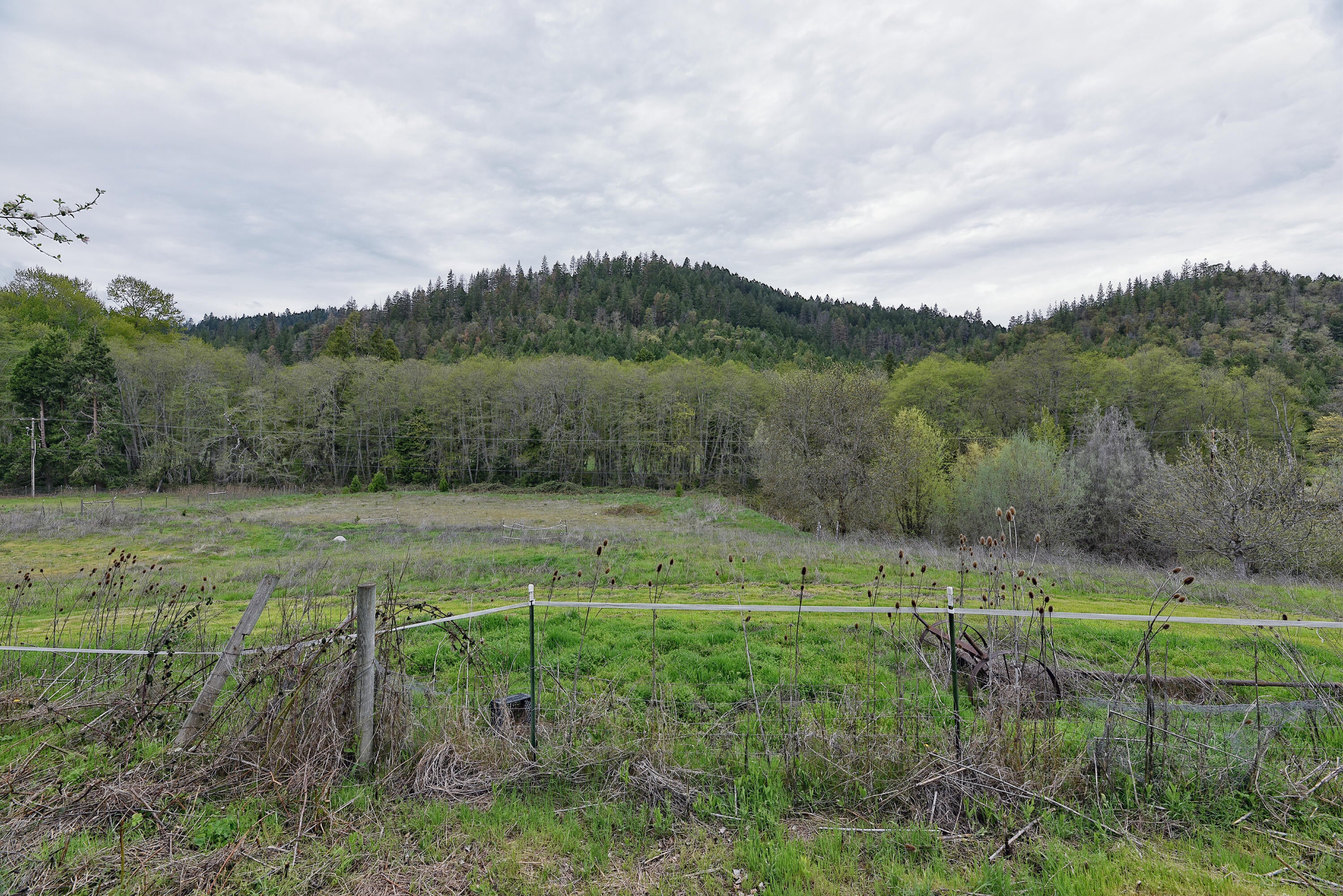 6285 Thompson Creek Road Jacksonville, OR 97530 - Photo 34 of 38 35
