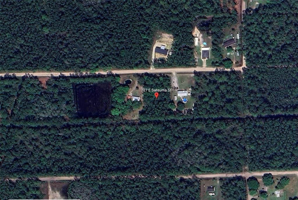 127 East Satsuma Road Palatka, FL 32177 - Photo 5 of 5 a view of a backyard with plants