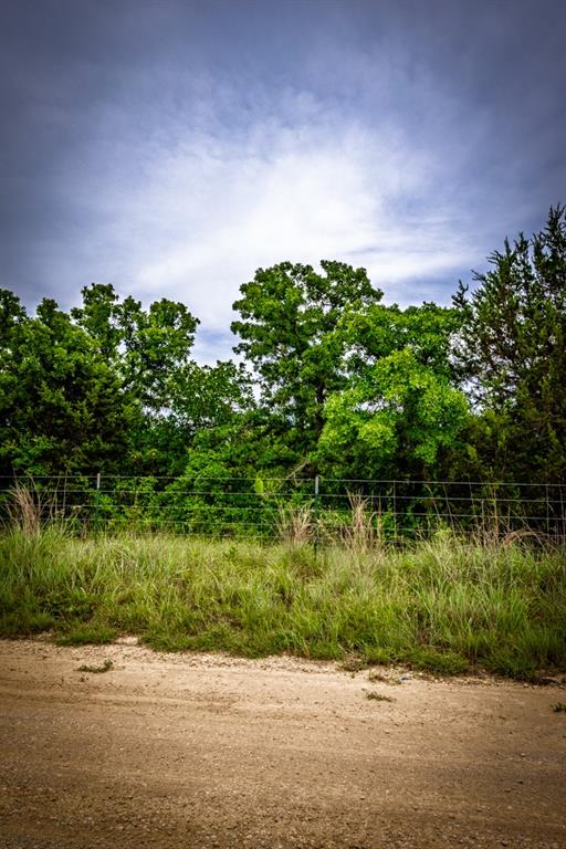 Tbd Barton Chapel Road Jacksboro, TX 76458 - Photo 12 of 13