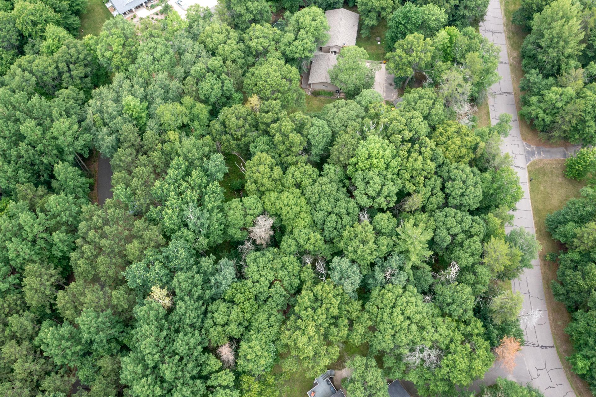 Lot 2 Birch Lane Brainerd, MN 56401 - Photo 14 of 16