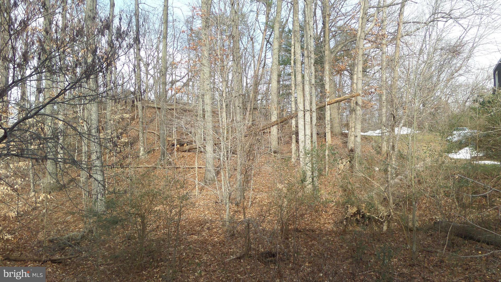 5907 Noblestown Road, Unit 65 Springfield, VA 22152 - Photo 22 of 22 Exterior (Rear)