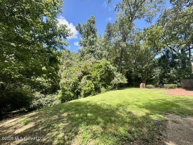 104 Dana Road Natchez, MS 39120 - Photo 10 of 41 Back Yard 2
