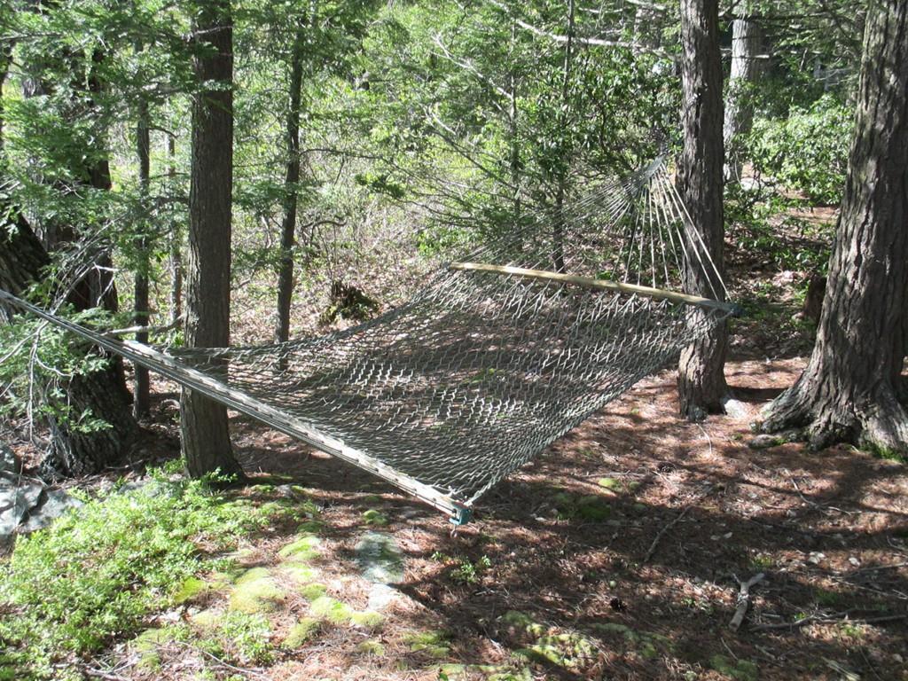 15 Old Barre Road Phillipston, MA 01331 - Photo 17 of 21 a view of a forest with trees