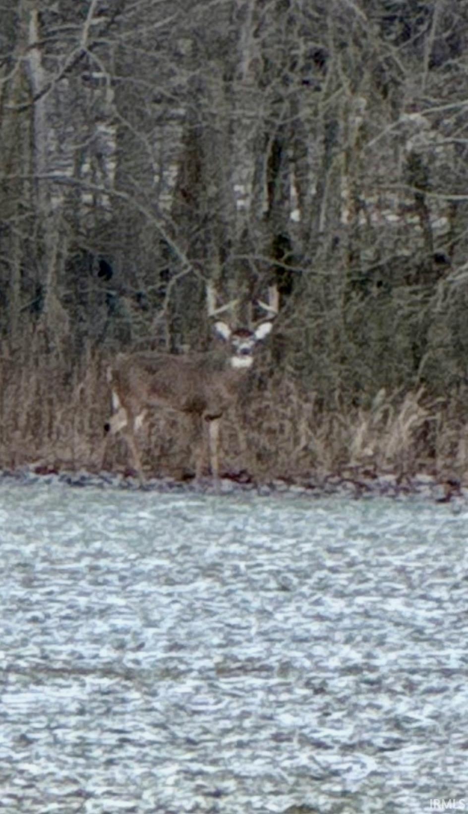 450 South Washington In 47501 Washington, IN 47501 - Photo 19 of 36