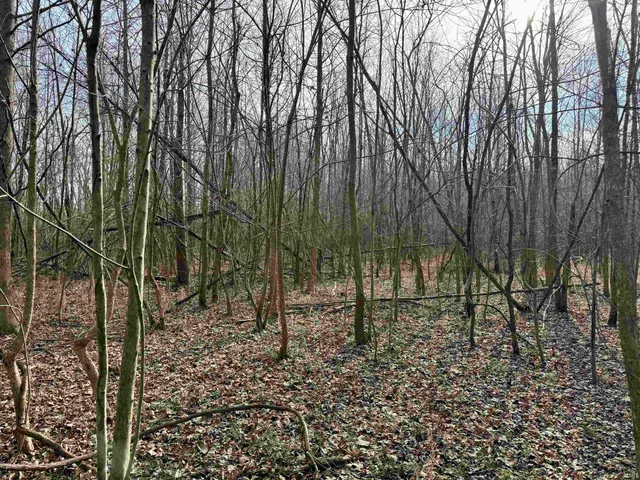 $1,099,000 | 450 South Washington In 47501, Washington, IN 47501