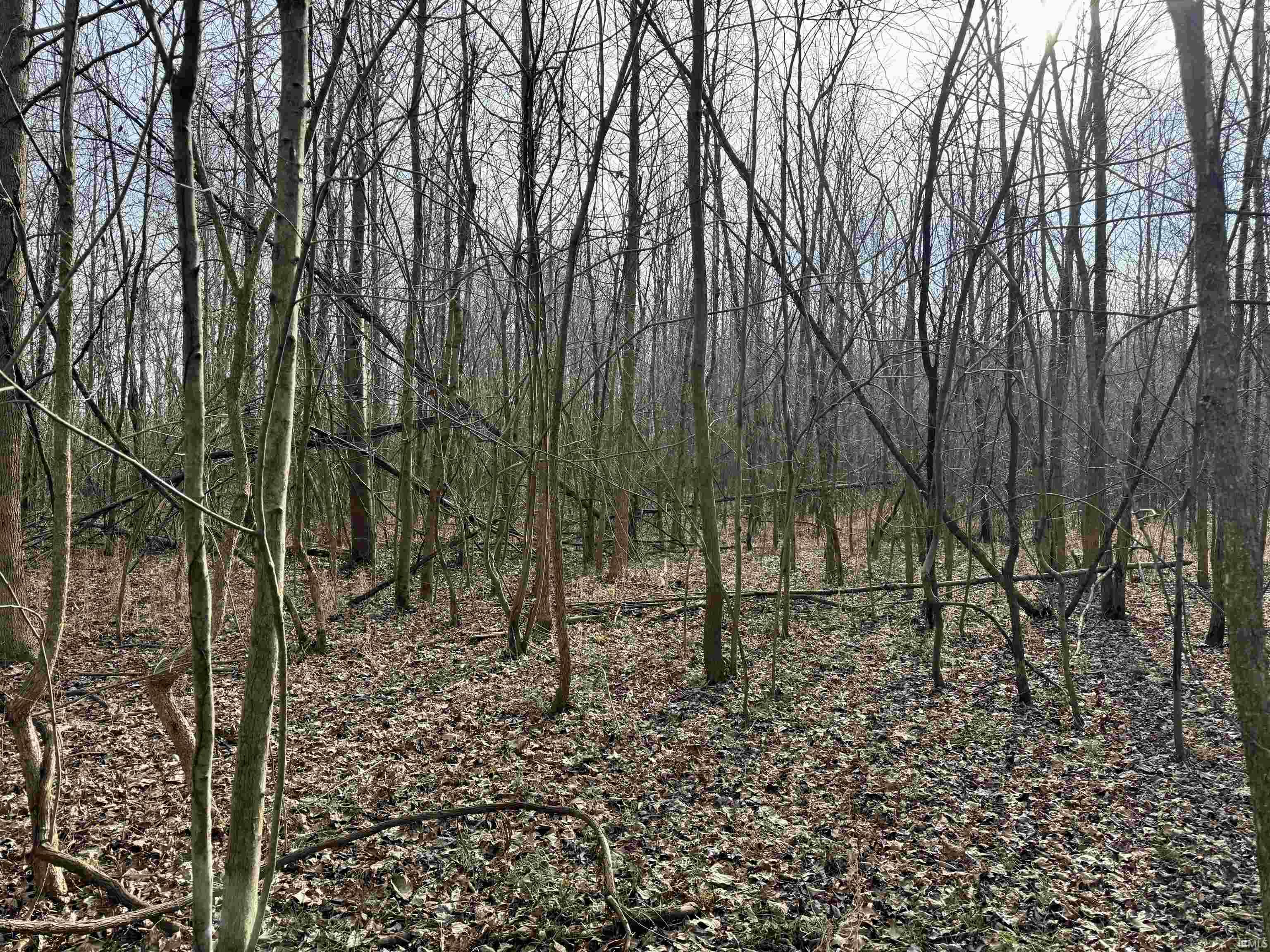 450 South Washington In 47501 Washington, IN 47501 - Photo 25 of 36