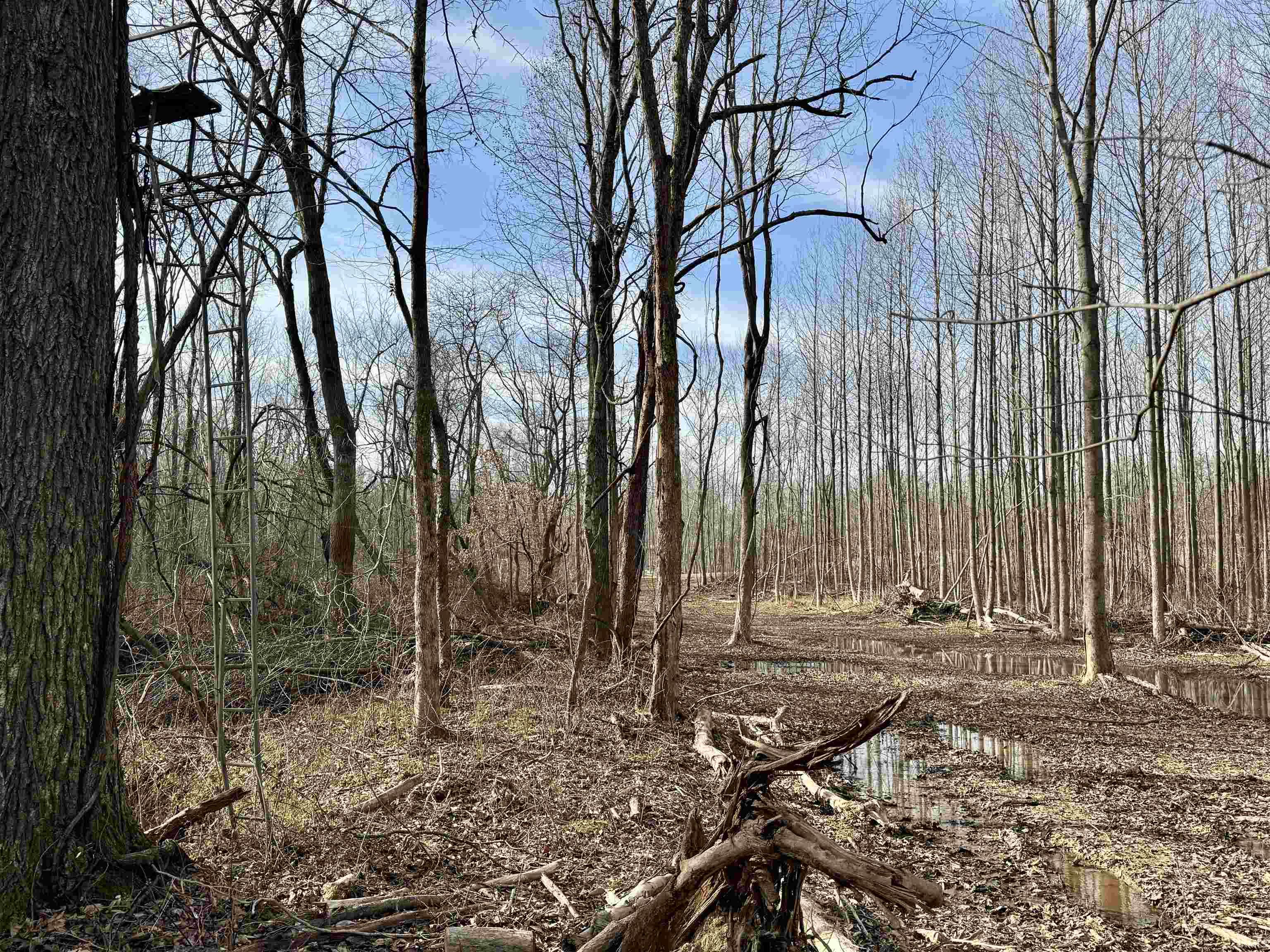 450 South Washington In 47501 Washington, IN 47501 - Photo 26 of 36